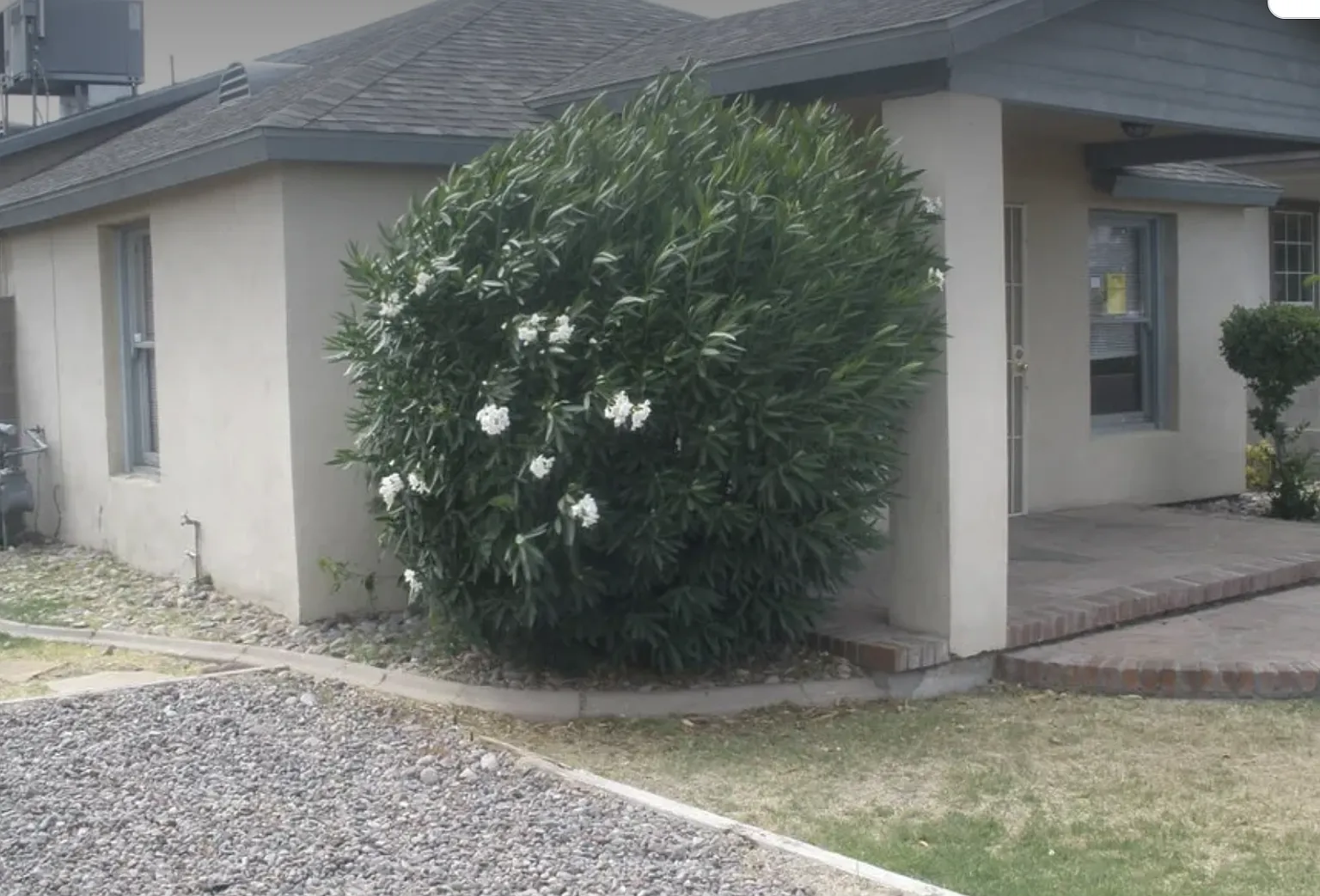 2 bed, 700 sqft, $1,450 — Photo 4