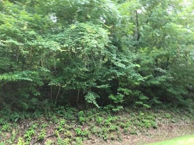 30 Green River Cove Rd, Saluda, NC, 28773