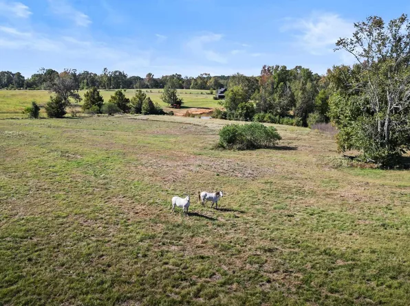 3215 Fm 251 N, Bloomburg, TX 75556