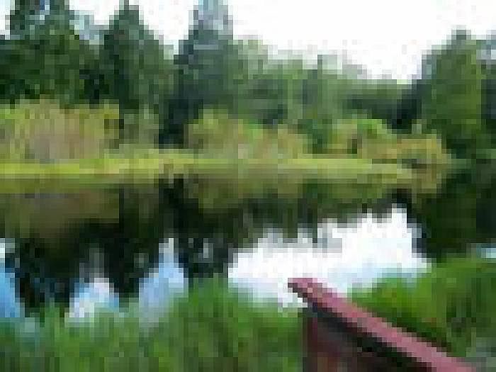 Lake from Dock