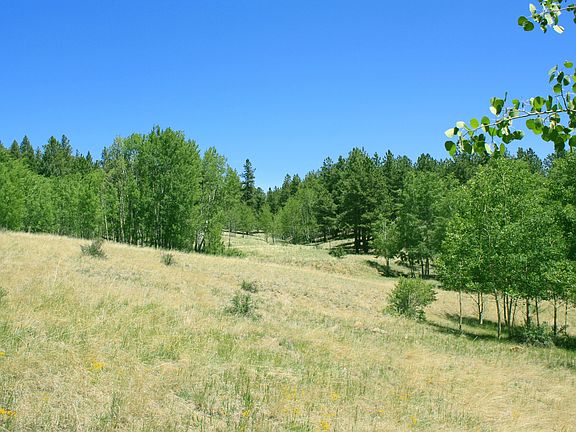 2nd image of 307 Pawnee Creek Dr
