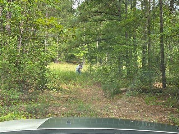 3rd image of 2385 Highway 42 S Lot 0