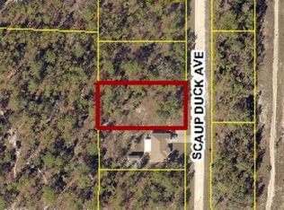 0 Scaup Duck Ave LOT 10, Brooksville, FL 34614