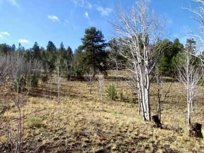 TBD Cherokee Trail, Hartsel, CO, 80449