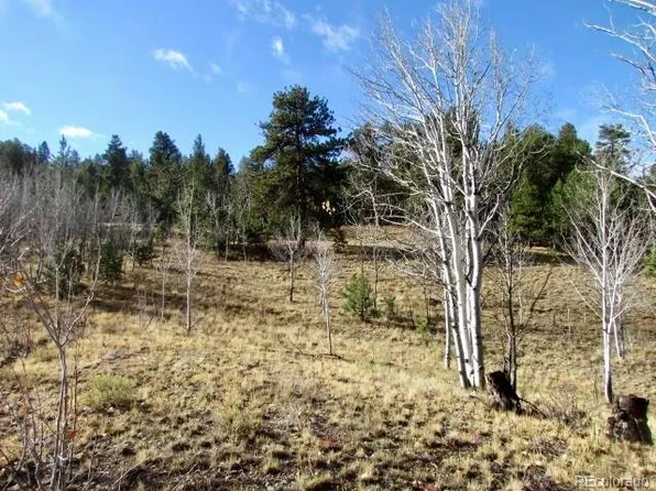 TBD Cherokee Trail, Hartsel, CO 80449