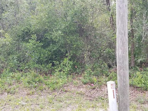 2nd image of 7369 Mulberry Dr