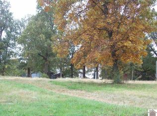 842 Old Dublin Rd, Mayfield, KY 42066