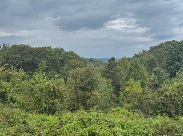 99 Tree Top Ln, Columbia, KY 42728