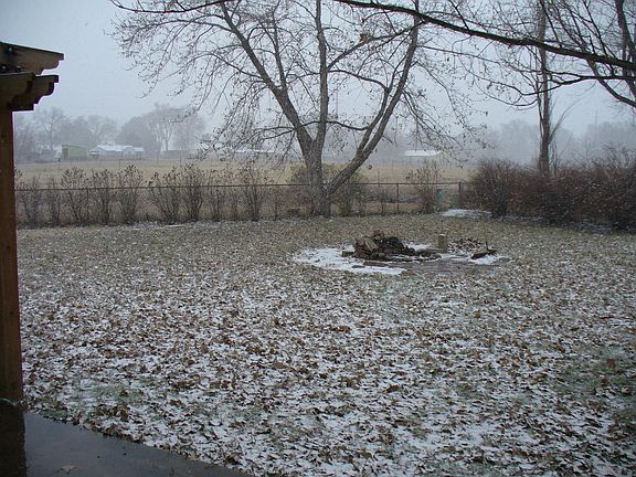 Firepit, Large Backyard, Creek, Wildlife