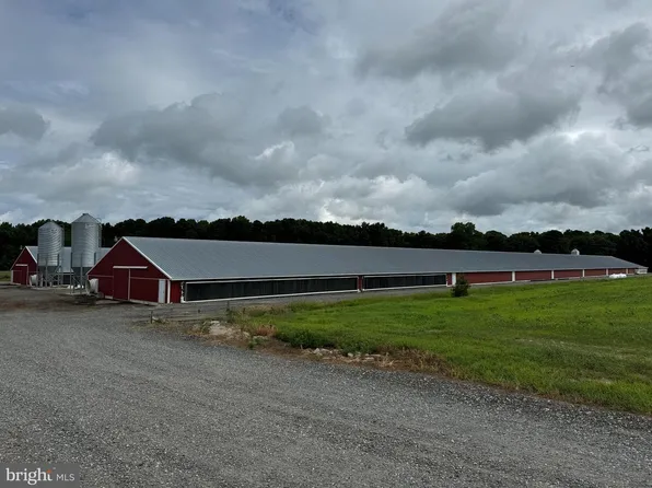 4689 Woodpecker Rd, Seaford, DE 19973