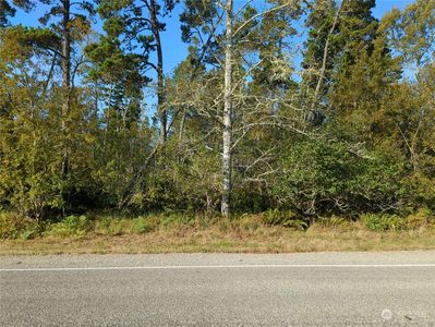 250 xx U Street, Ocean Park, WA, 98640