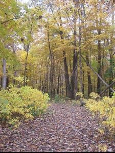 97 ac Fritz Road, Verona, WI, 53593