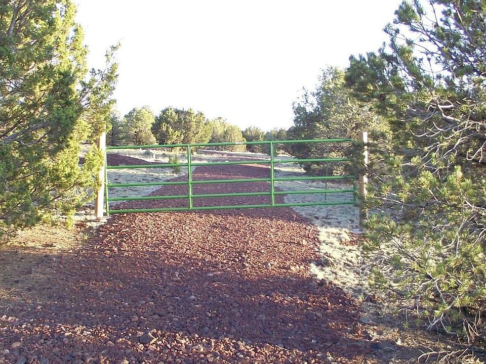 1st image of 276 E Orchid Dr