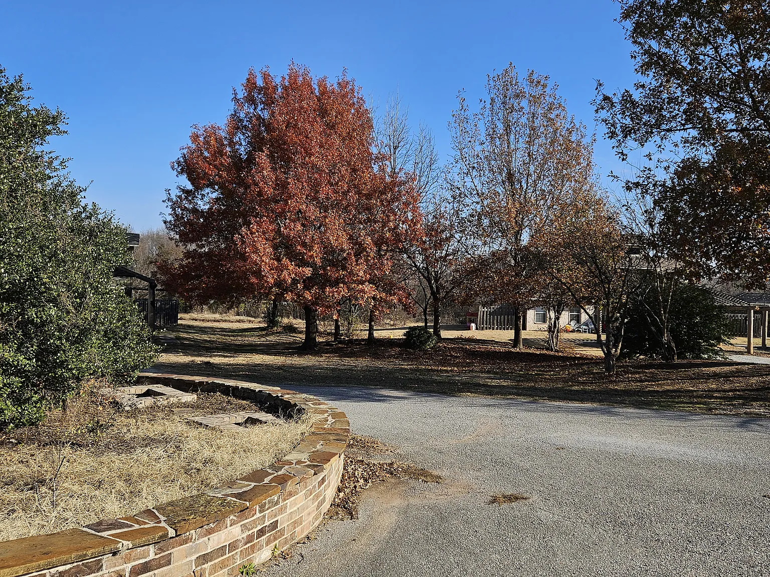 2 bed, 1000 sqft, $1,250 — Photo 1