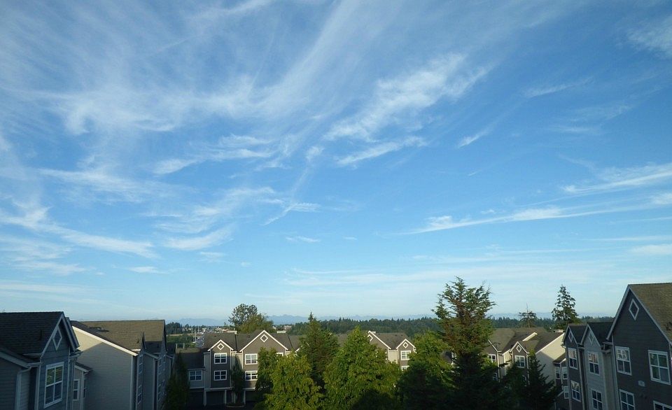 1st image of 3116 164th St SW APT 206