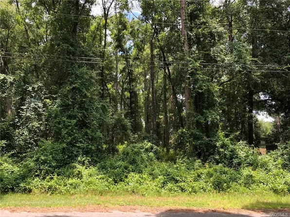 6701 E Mobile St, Inverness, FL 34452