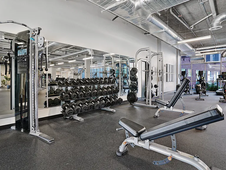 Gym Area