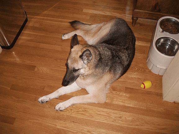 Pets OK with deposit