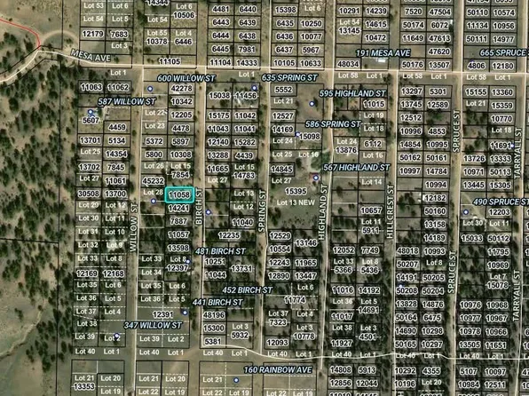 00002 Birch Street, Hartsel, CO 80449