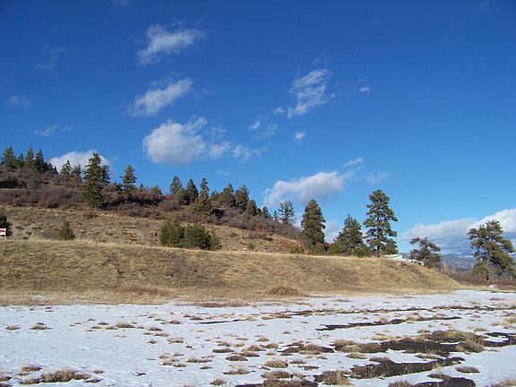 3rd image of 1921 Eagle Drive
