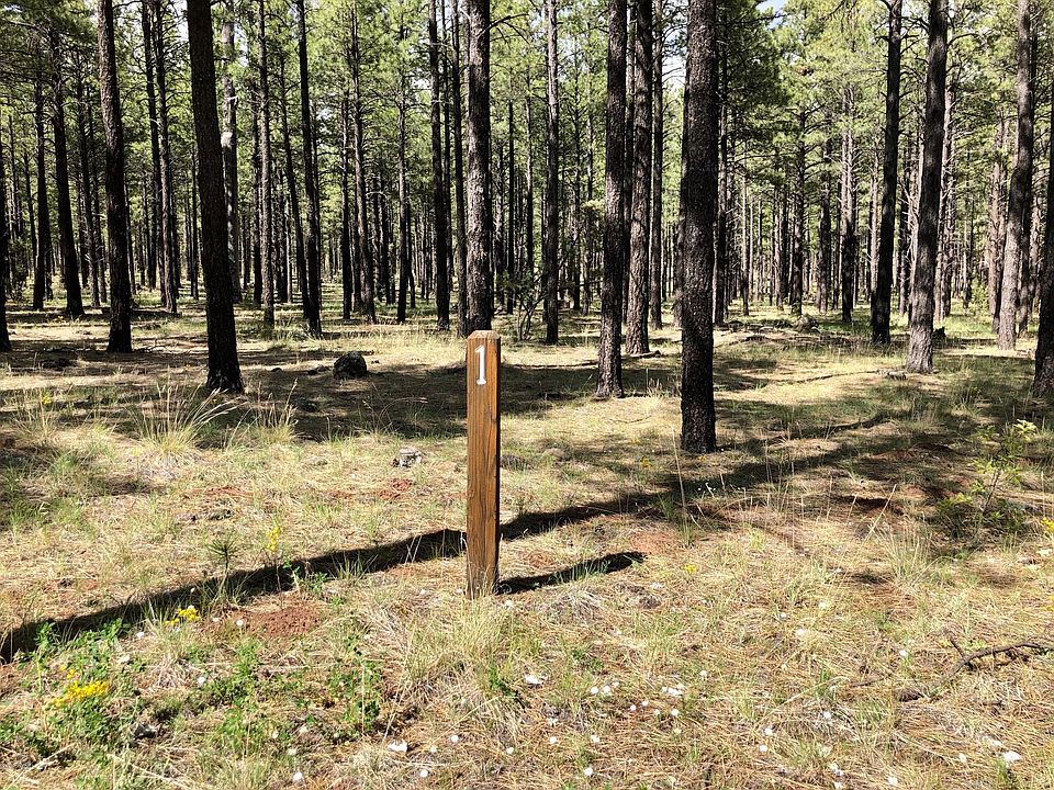 1st image of 9598 Sierra Springs Dr