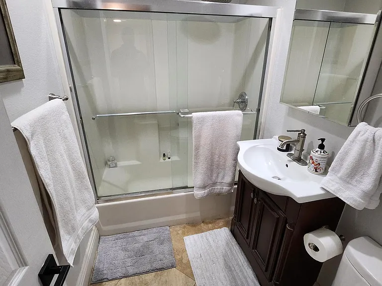 Guest bathroom with skylight