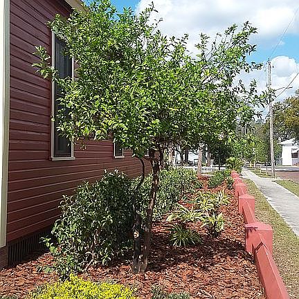 3rd image of 1920 E 15th Ave
