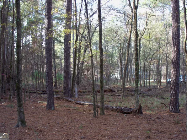 2991 Carey Station Rd, Greensboro, GA 30642