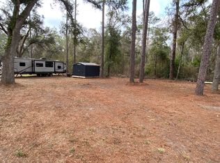 NE Camphor Ln, Lee, FL 32059