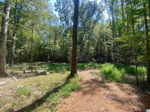 0 Lax Dr, New Concord, KY 42076