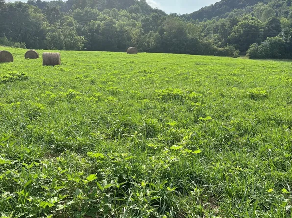 3 McBride Rd, Morristown, TN 37814
