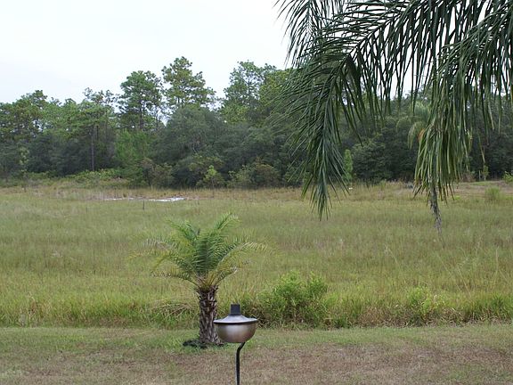 1+acre backyard W/ wetland