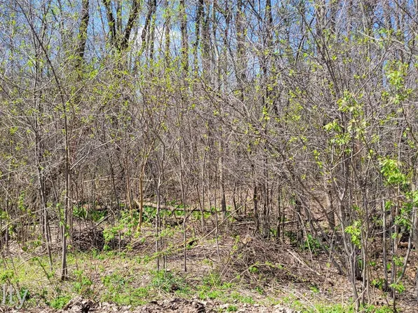 0 Pady Ln, Brighton, MI 48114