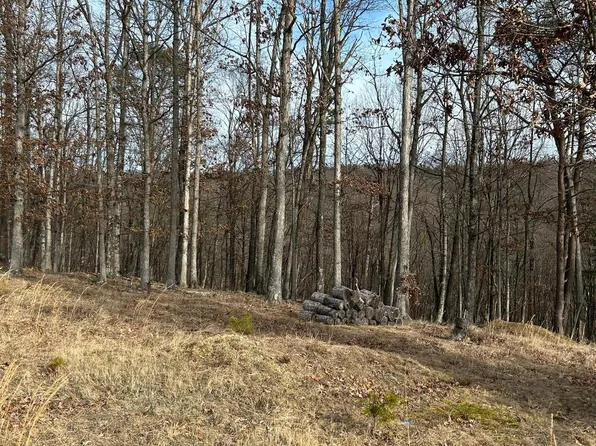 49 Plum Tree Ln, Berkeley Springs, WV 25411
