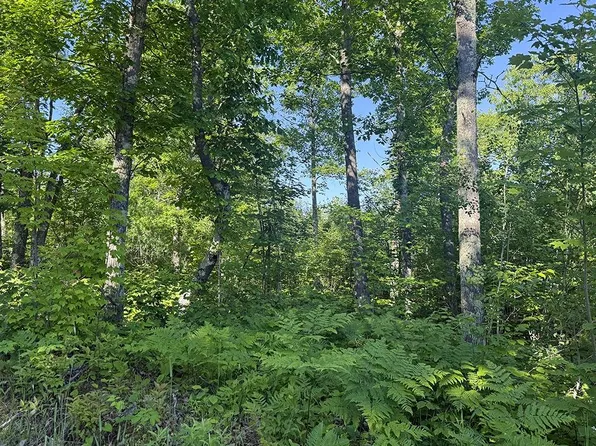 4 E County Road T, Danbury, WI 54830