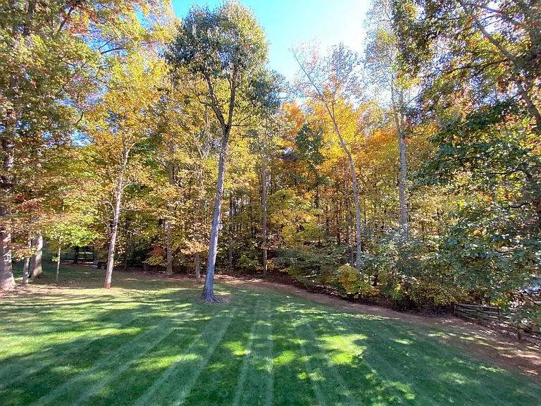 Back yard in the Fall