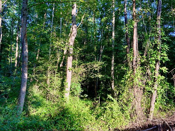 4th image of 0 Copper Springs Rd