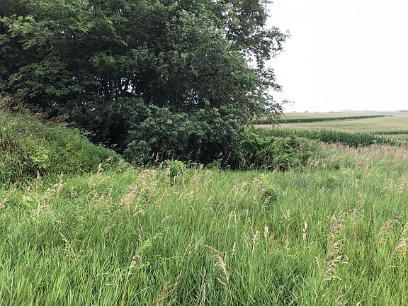 Looking south from the center of the lot