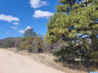 Xx Tyrone Thompson Rd, Silver City, NM 88061