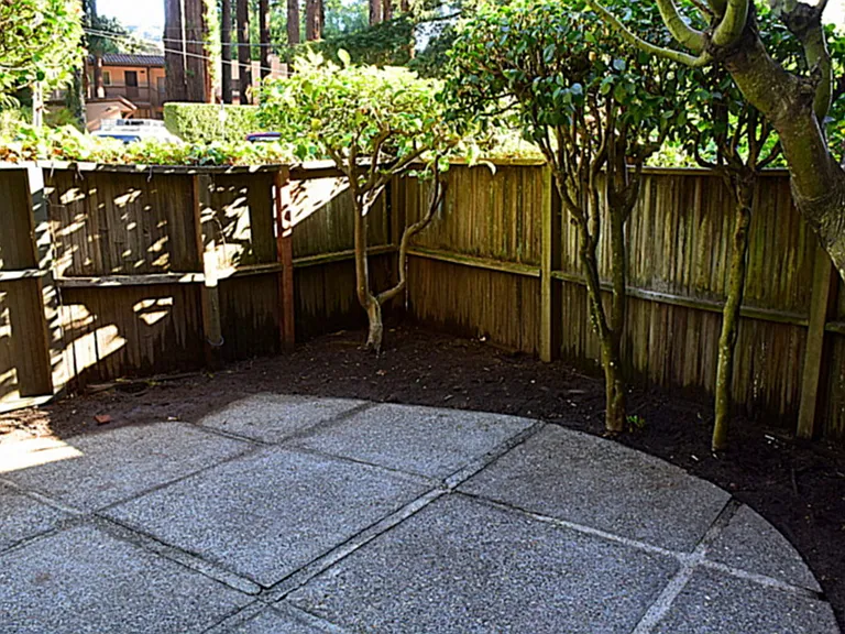 170 Miller Ave #7 — Photo 4