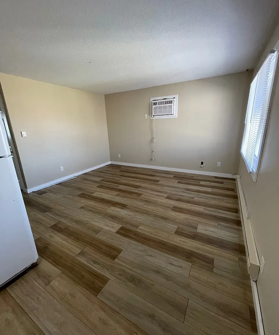 2 bed, 100 sqft, $850 — Photo 2