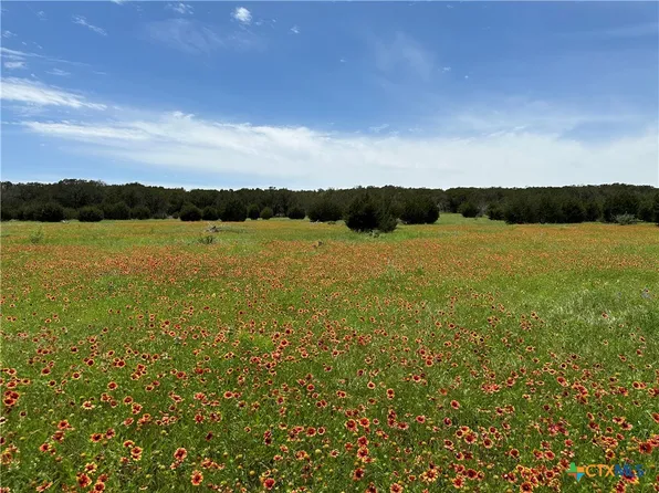 LOT 158 Addax Ct, Lampasas, TX 76550