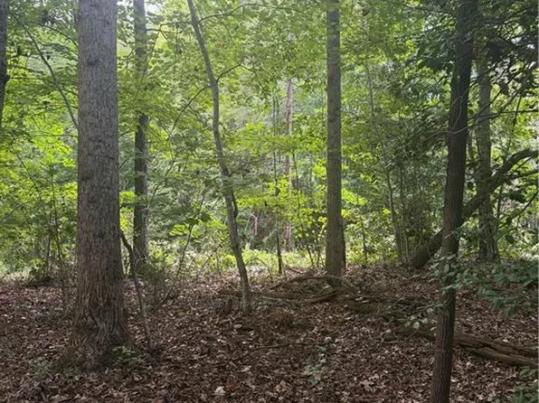 2 Edgewood Rd, Wilkesboro, NC 28697