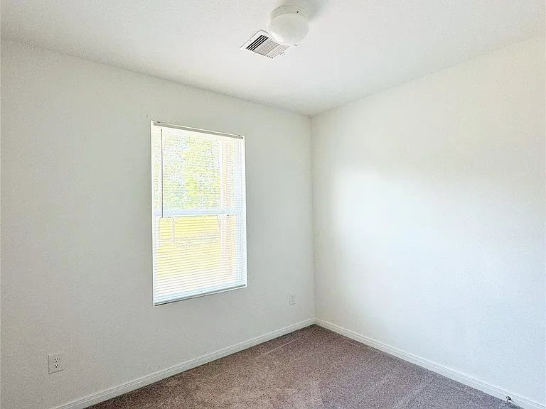 245 Water Oak — Photo 14