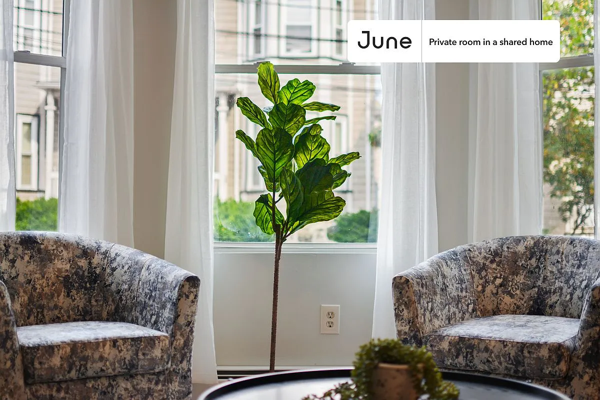 Queen bedroom in 4 bed/2 bath home in Allston #534 D — Photo 4