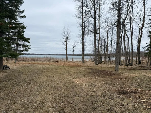 42585 N Little Turtle Rd, Bigfork, MN 56628
