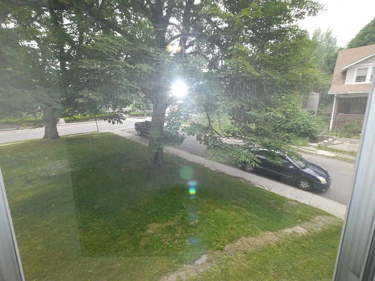 View from livingroom.
