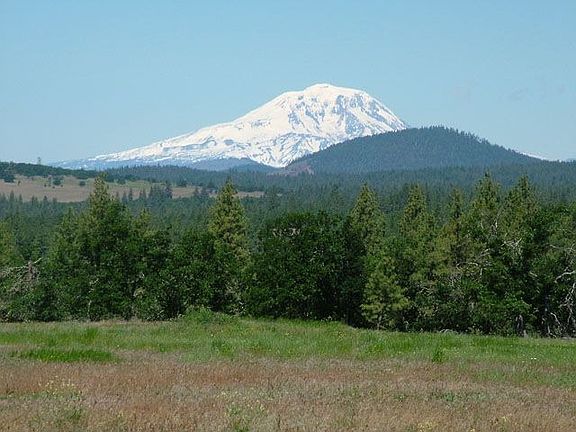 View of Mt Adams