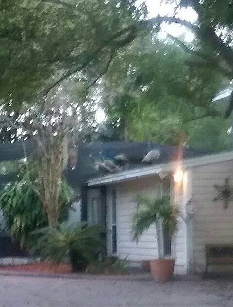 2nd image of 2418 S Summerlin Ave