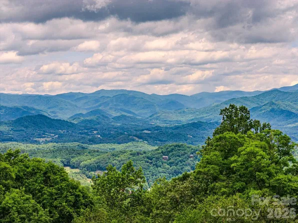 1680 Williamson Rd, Whittier, NC 28789